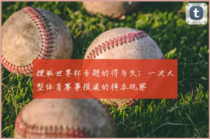 搜狐世界杯专题的得与失：一次大型体育赛事报道的样本观察
