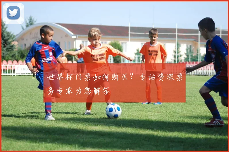 世界杯门票如何购买？专访资深票务专家为您解答