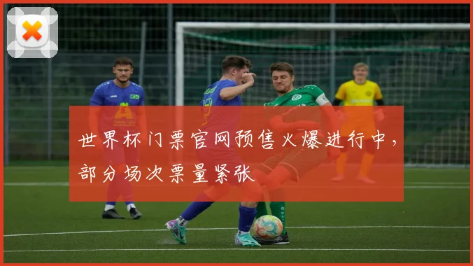 世界杯门票官网预售火爆进行中，部分场次票量紧张