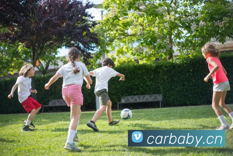 mksports官网登录入口平台生态图